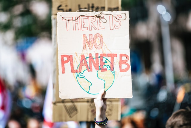 Cartellone con la scritta "there is no planet b"